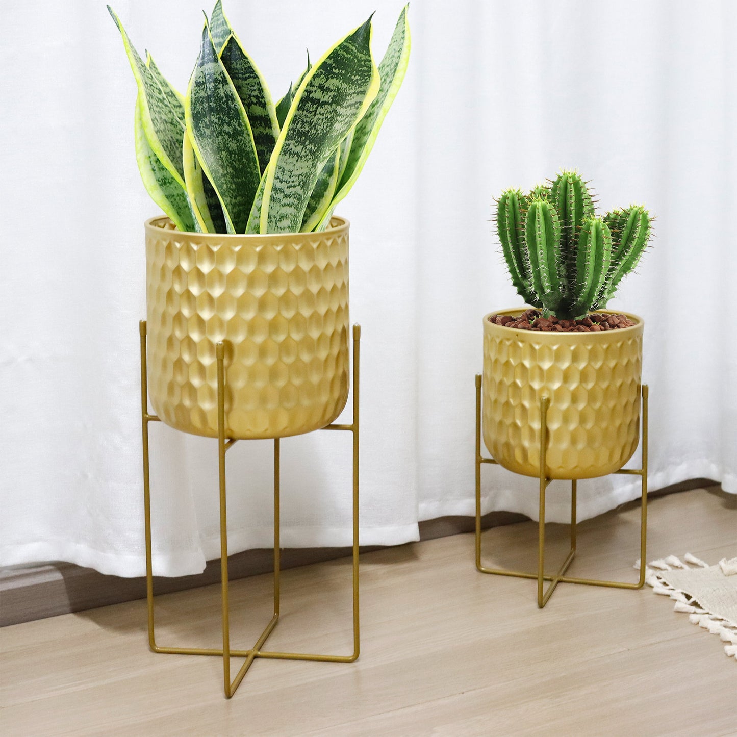 2 Set of 17&12 Inch Tall Planters With Stand Gold showcasing a large leafy plant and a small cactus.