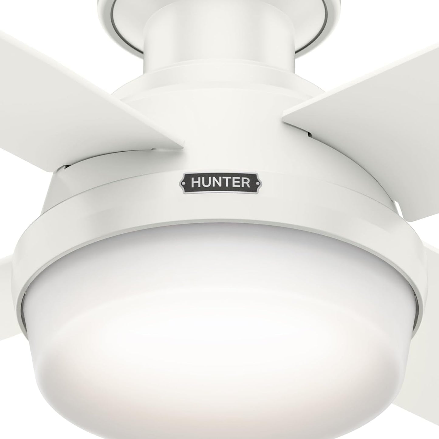 44-Inch LED Low-Profile Ceiling Fan With Remote Control ceiling fan light close-up, Hunter brand, modern home decor
