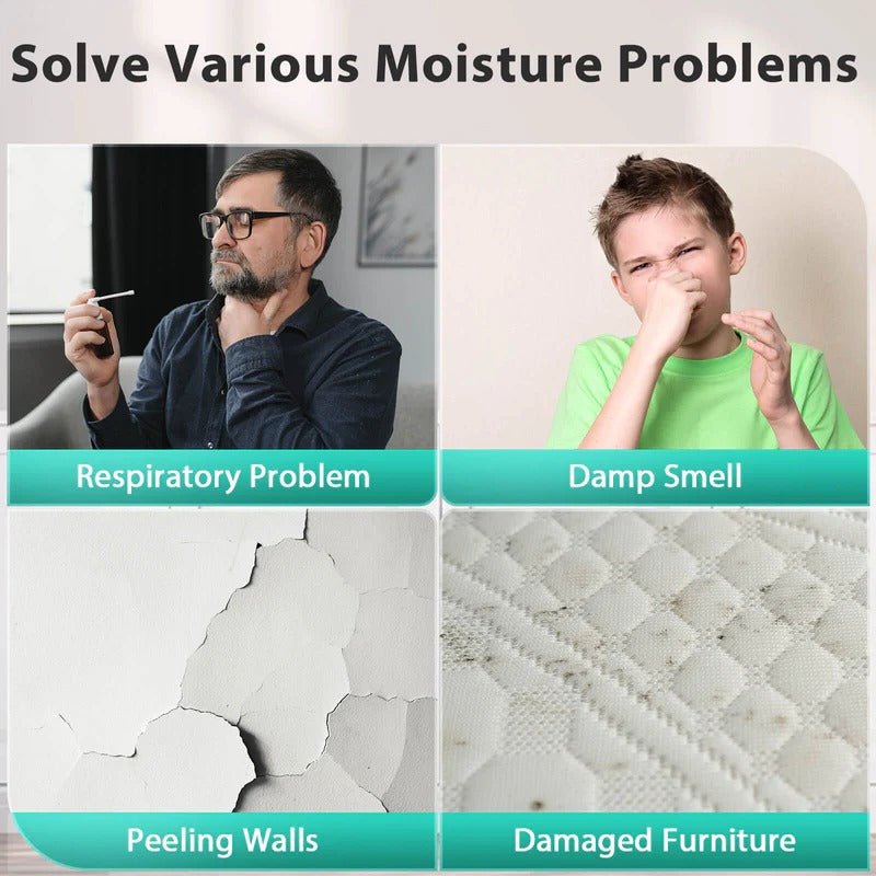 24 Pints Dehumidifier D4212B