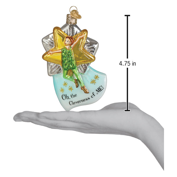 Clever Peter Pan Ornament