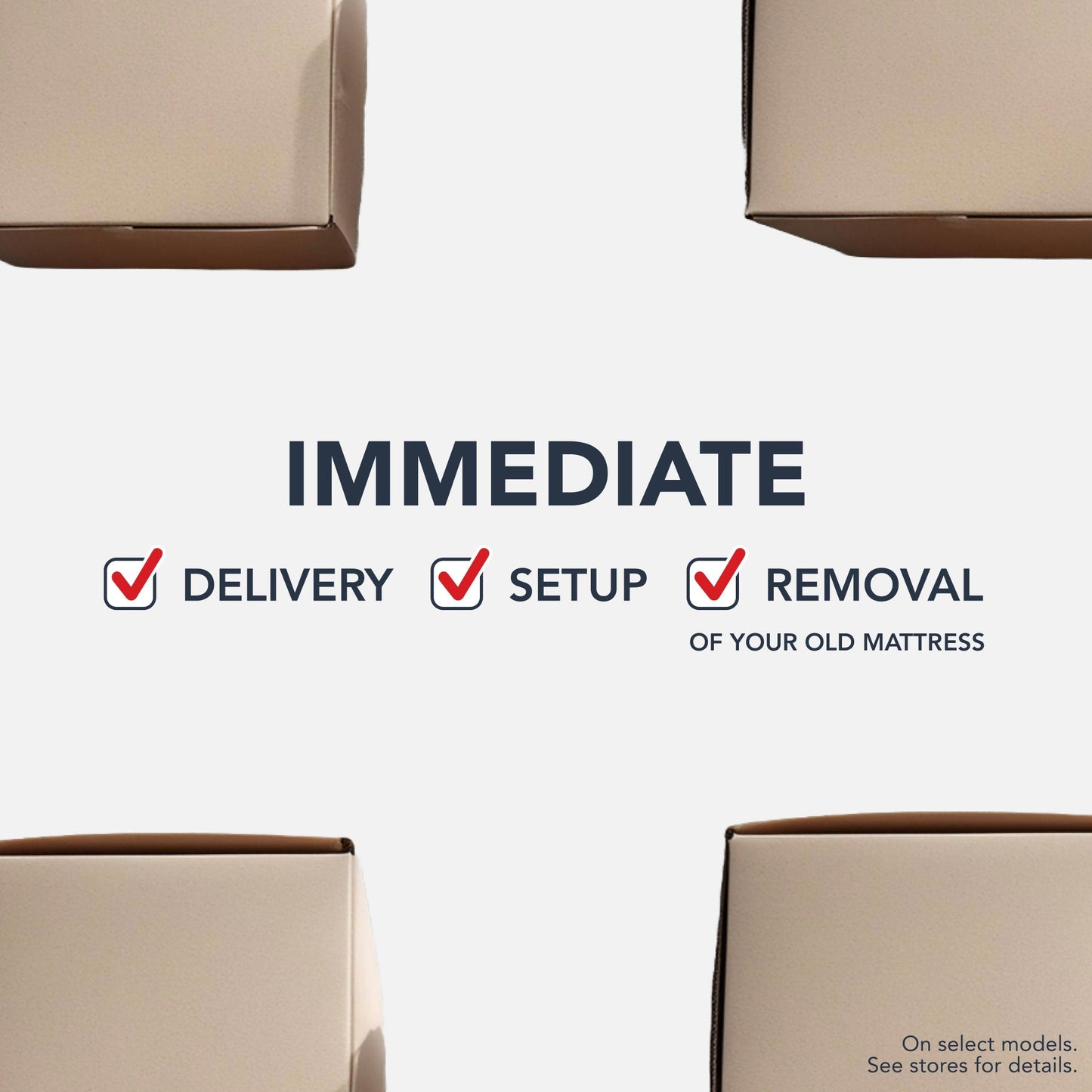 Prime II Adjustable Bed Frame