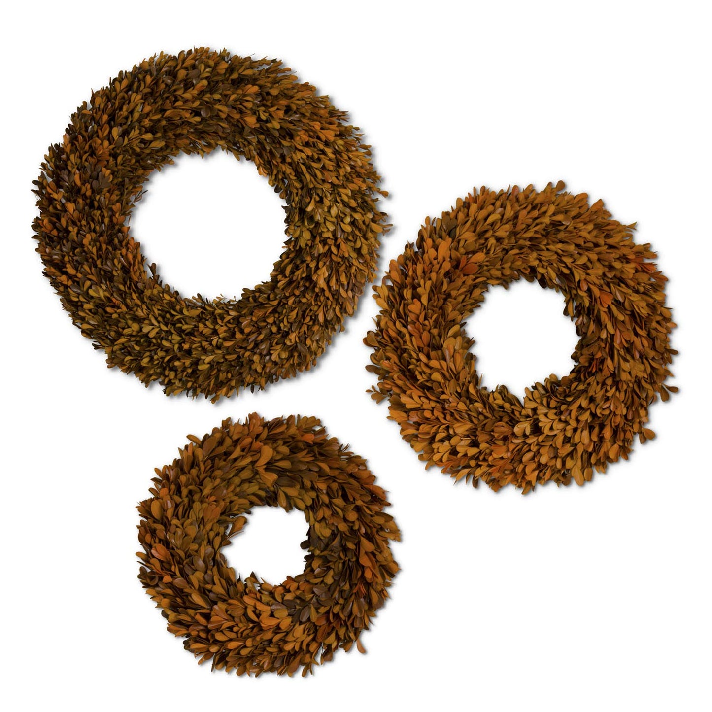 Preserved Boxwood Wreaths
