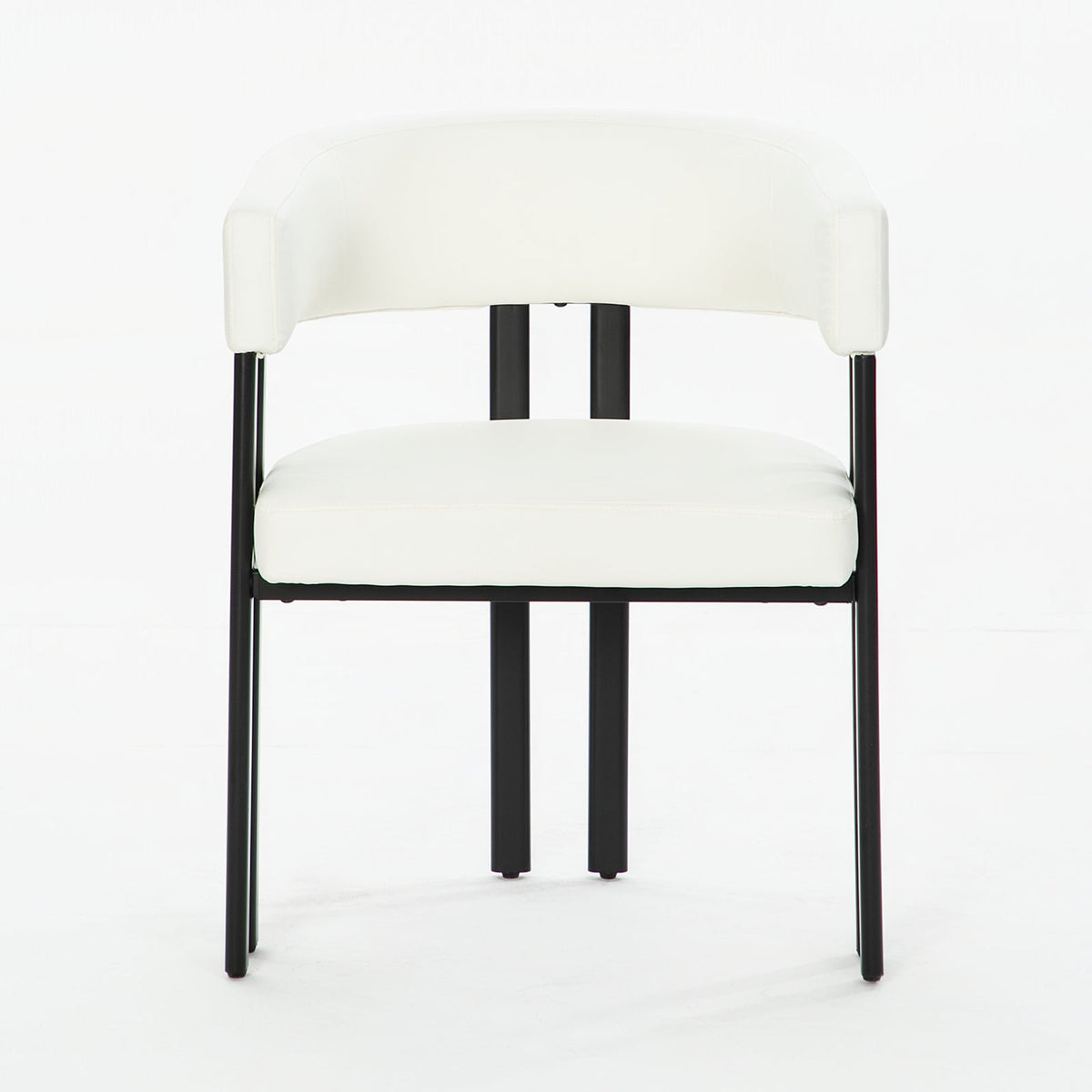 Modern Dining Chairs Set of 2