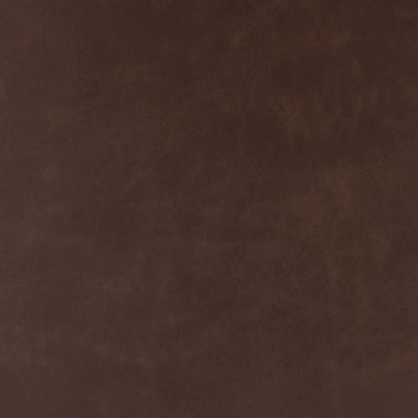 Mid Century Centiar 18.75 Inch Dining Bucket Chairs Set Of 2 Black And Brown