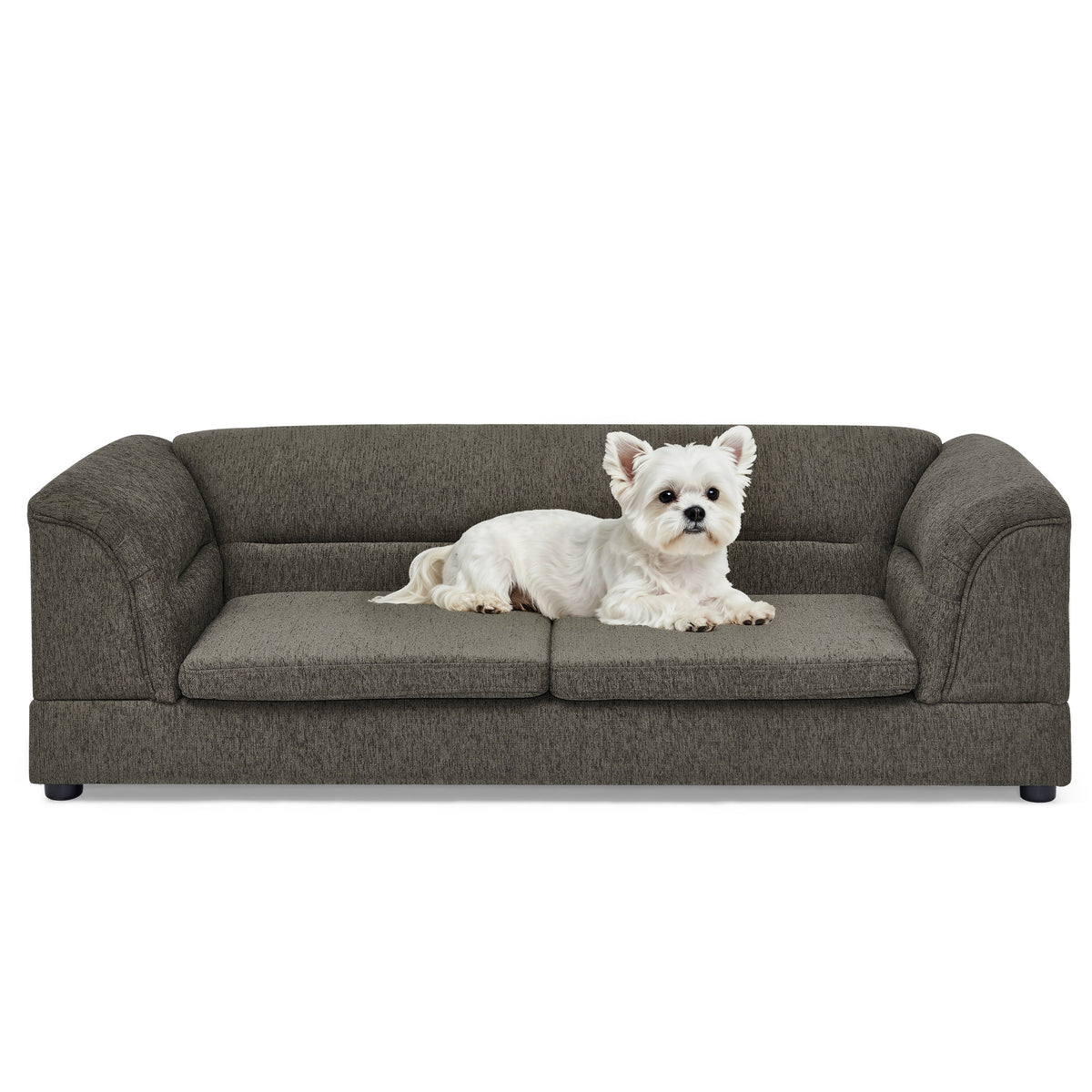 Oversized Pet Sofa, Curved Armrest Rectangular Dog Sofa