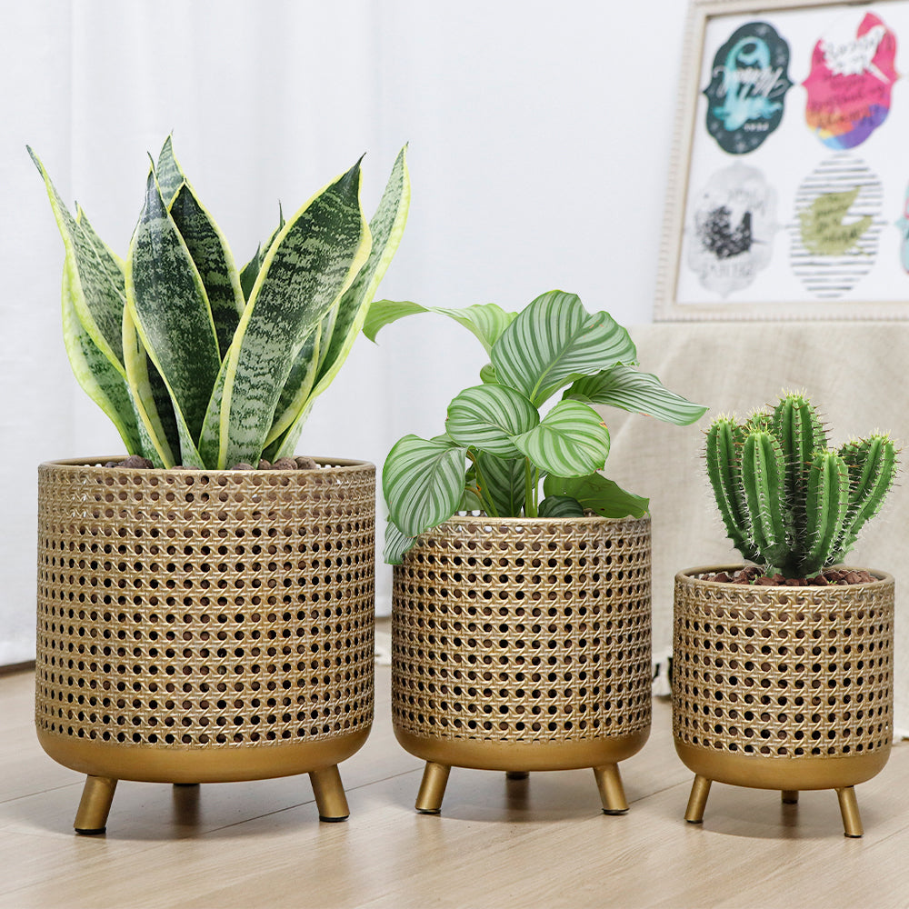 Set of 3 Plant Pots 10/8.5/7''H (Antique Gold)