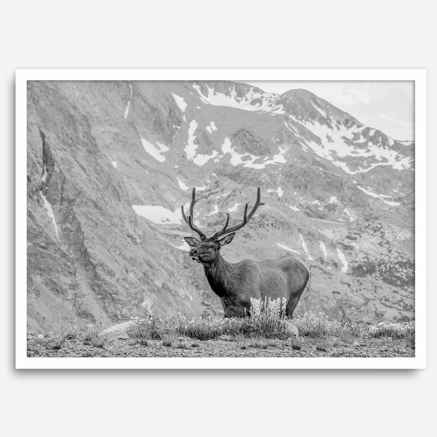 Mountain Song