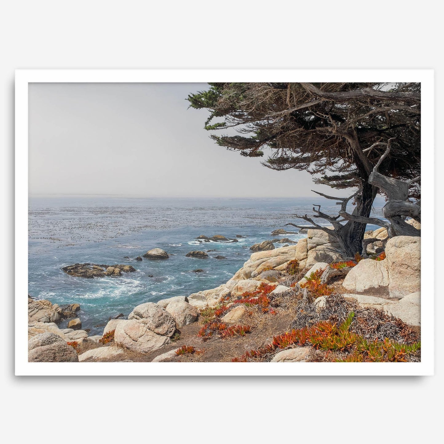 Ocean View