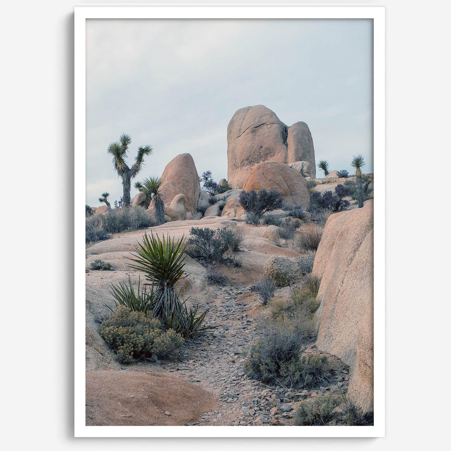 California desert art print showcasing unique rock formations and desert plants with Joshua Trees.