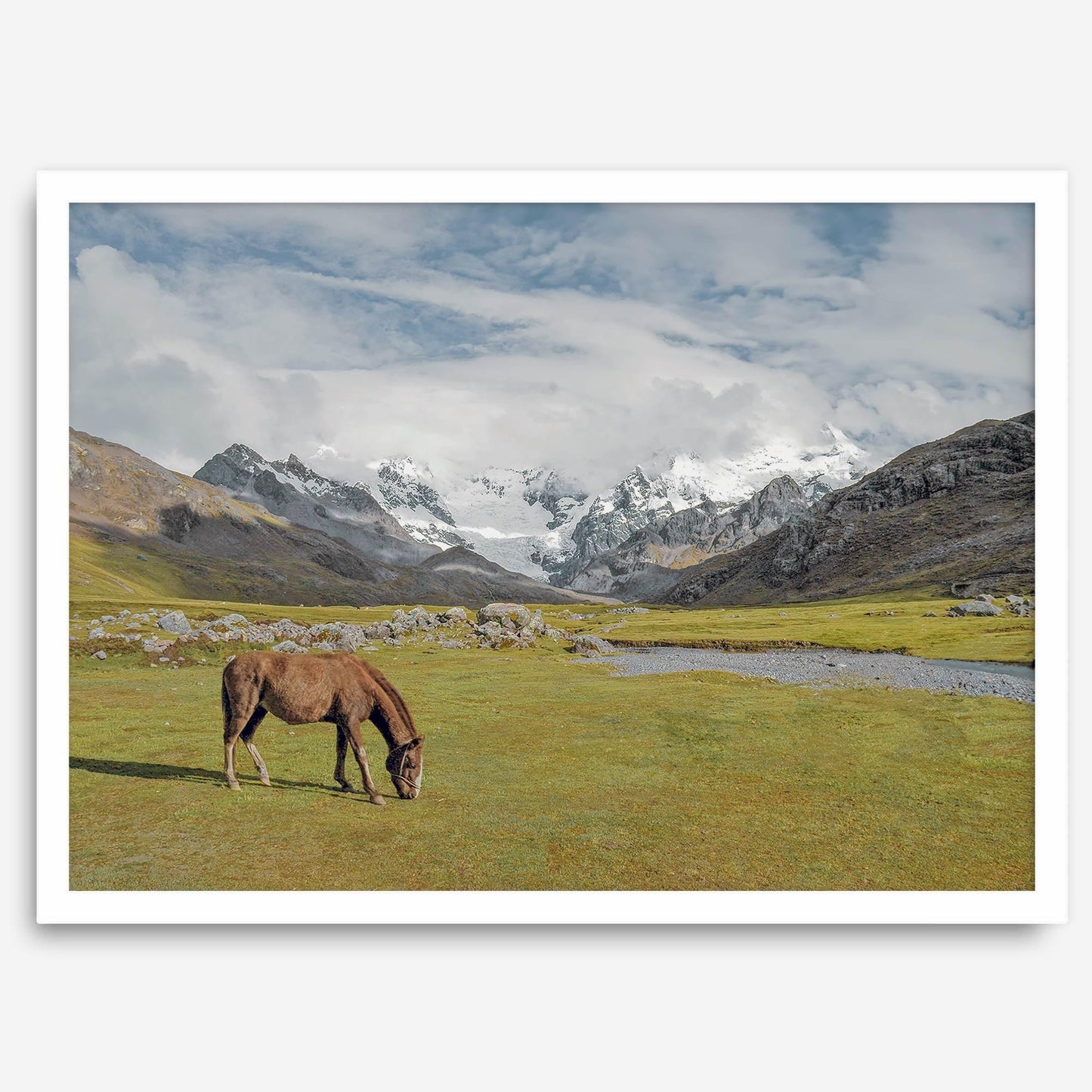 Mountain Horse