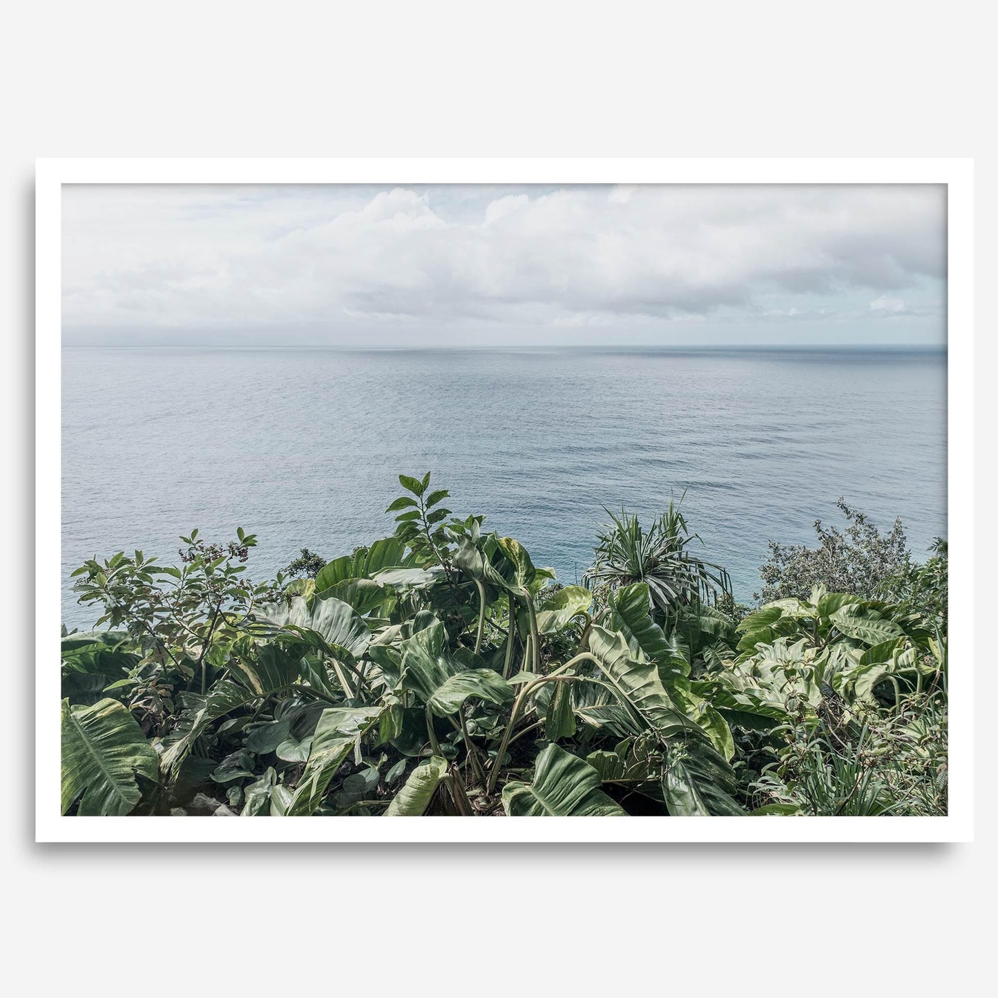 Tropical Ocean