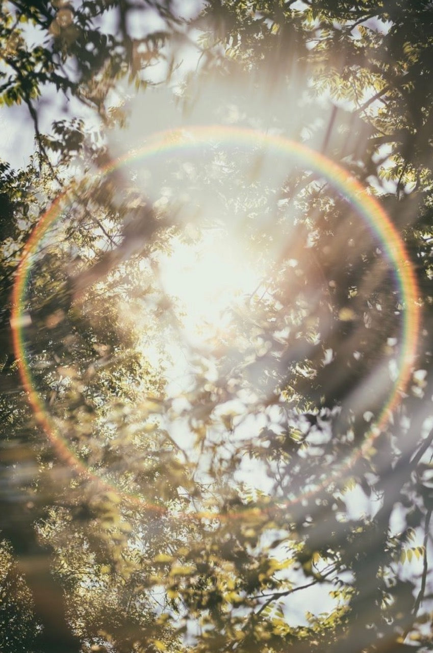 Sunwashed Linen 10 oz Candle