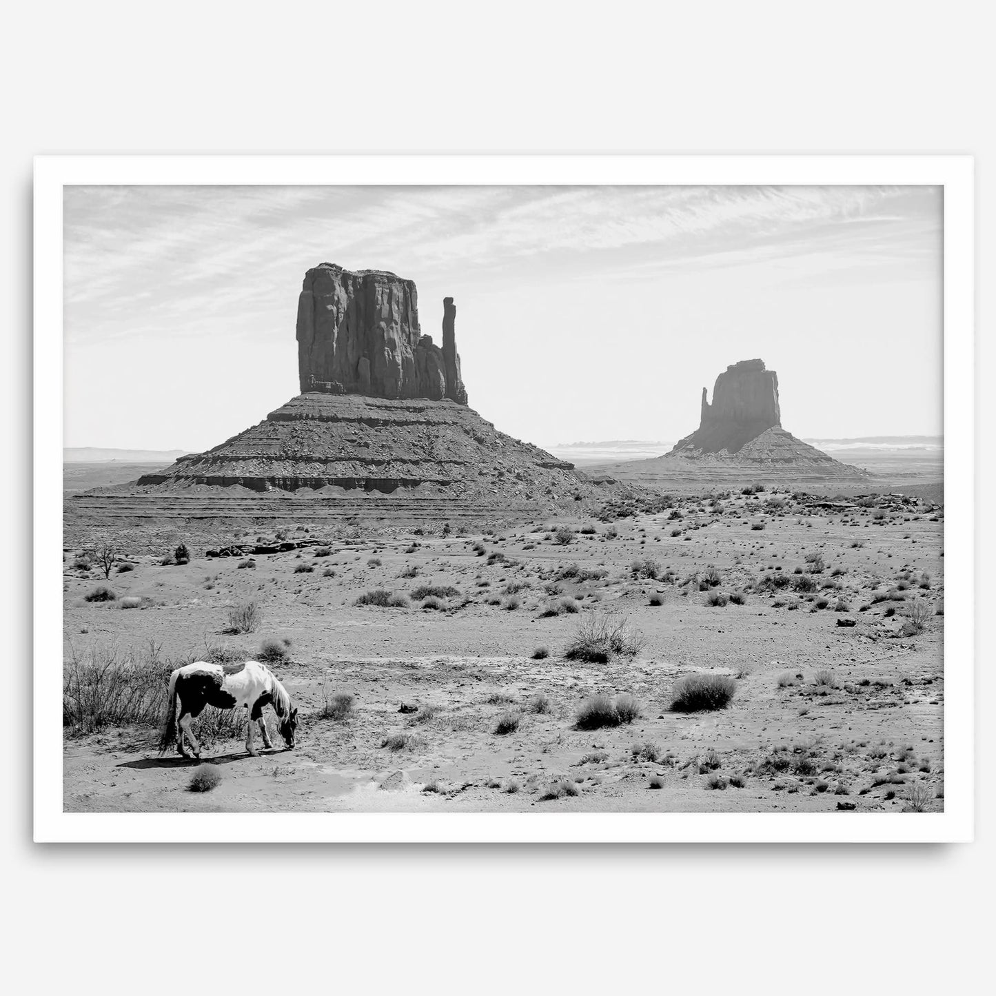 Desert Horse B&W