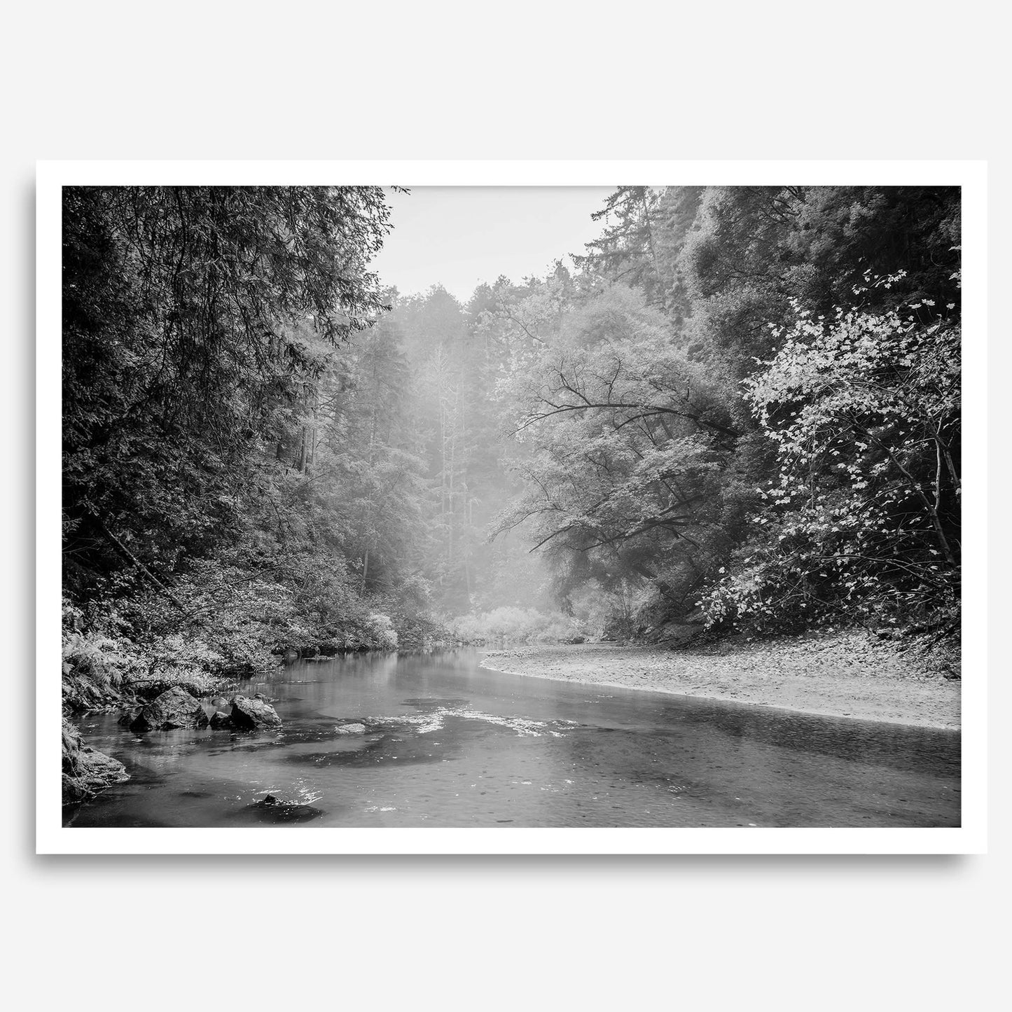 Misty River