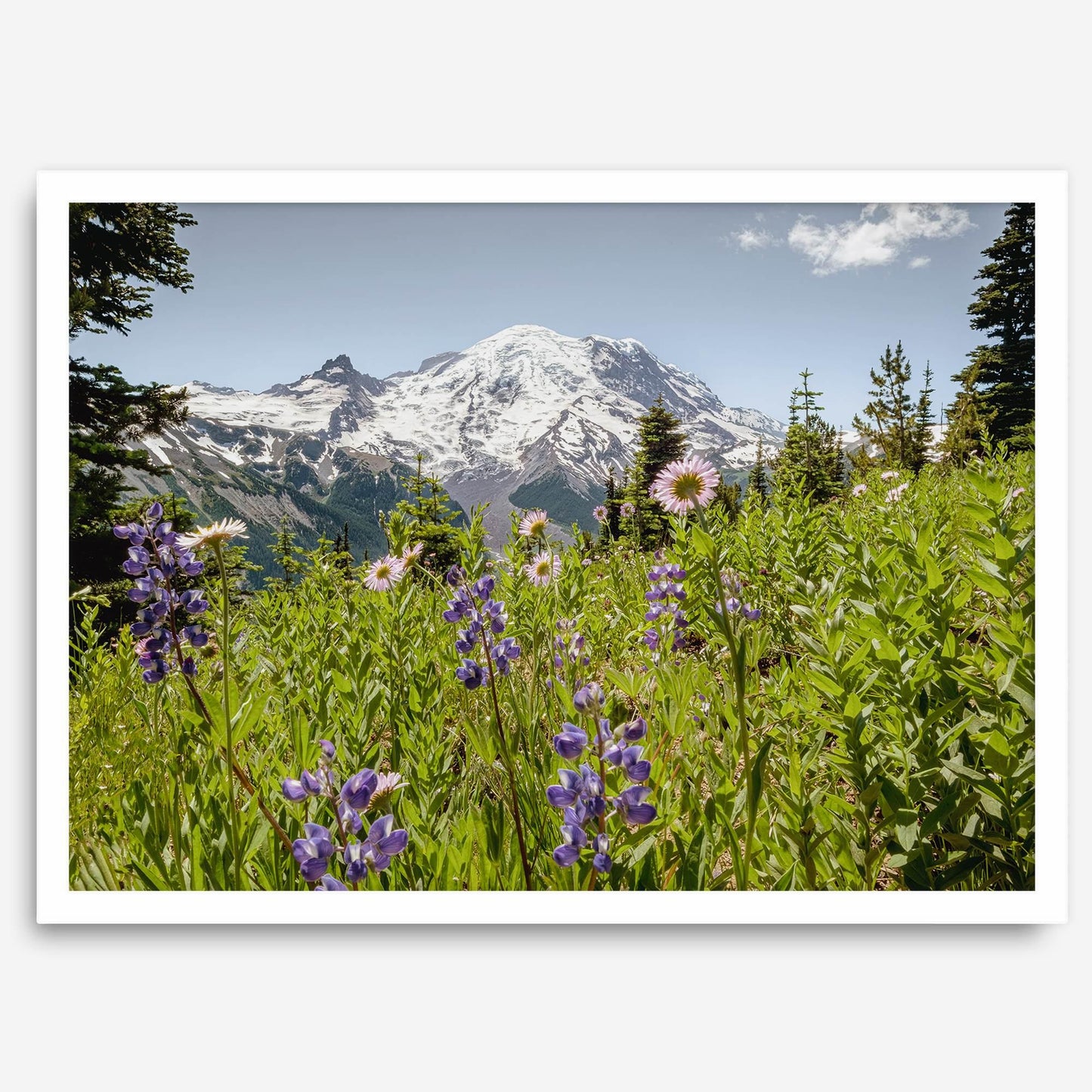 Mount Rainier
