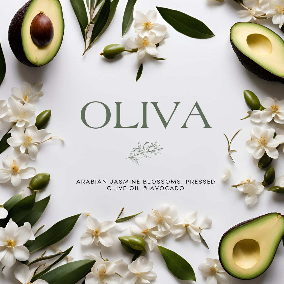 Oliva (8.5 oz Single Wick) - Notes: Arabian Jasmine Blossoms, Pressed Olive Oil & Avocado
