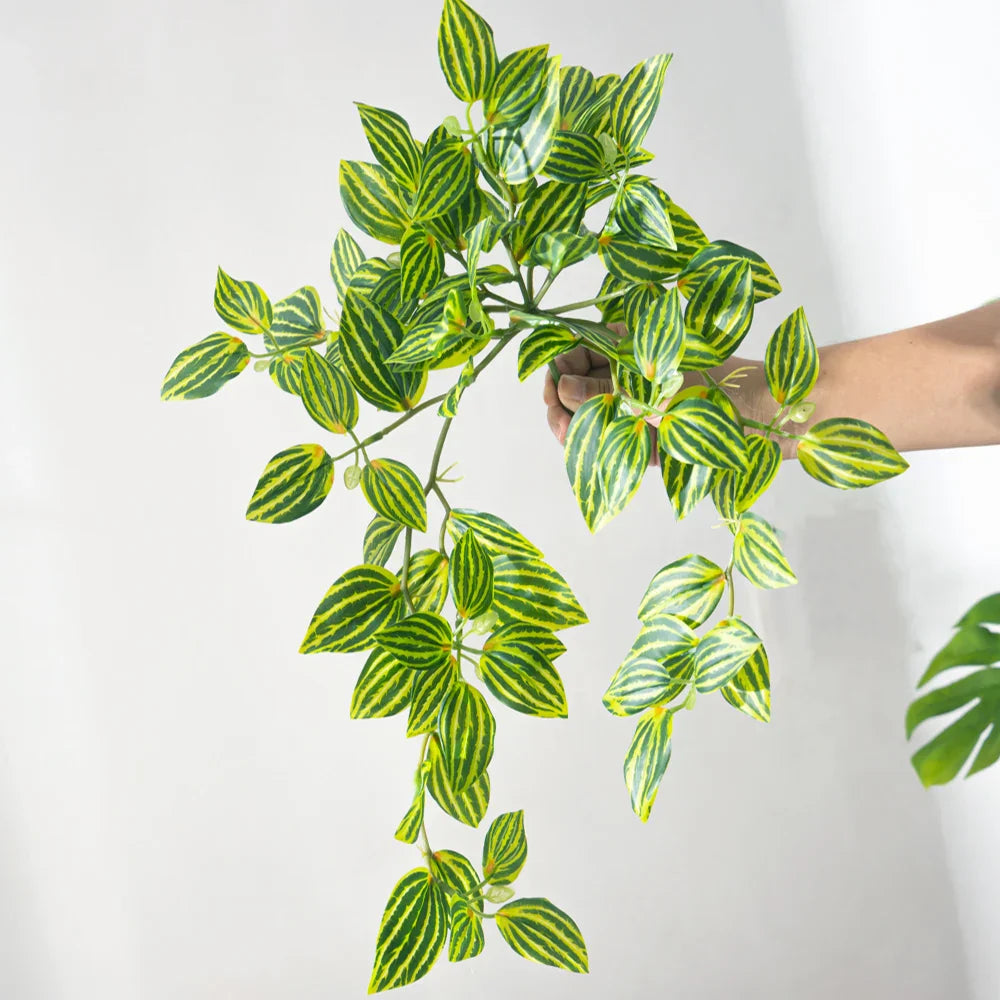 Dlight Decor Scindapsus Vine for Wall Hanging and Garden Styling