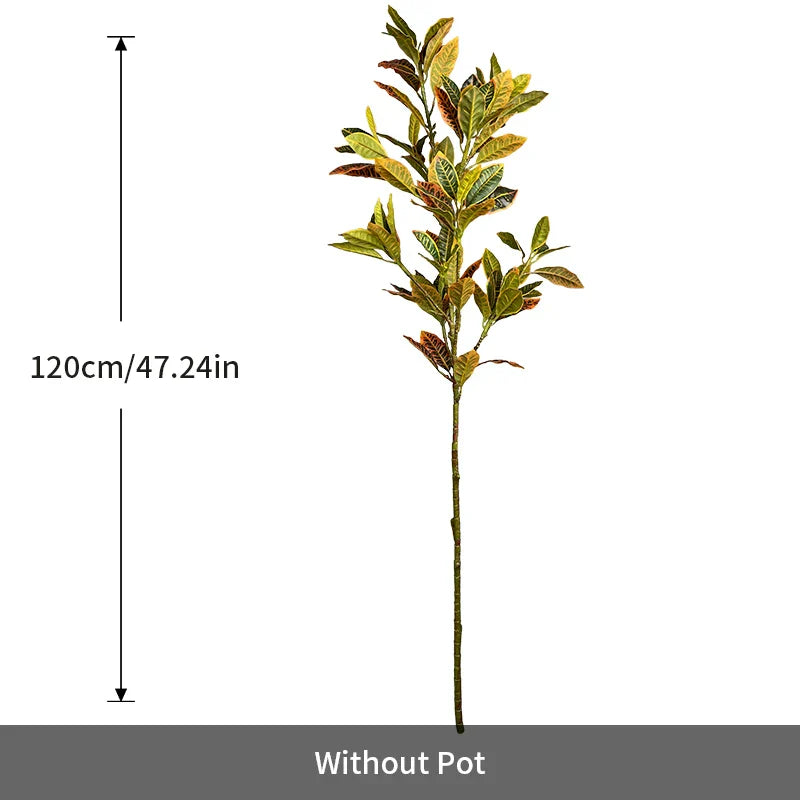 Dlight Decor Codiaeum Ficus Tree for Tropical Indoor Floor Decor