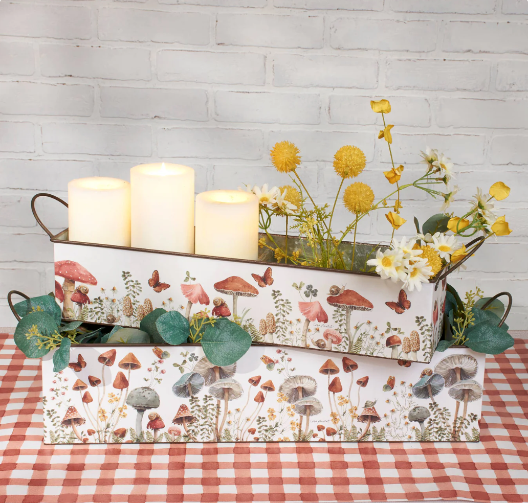 Mushroom Study Bin