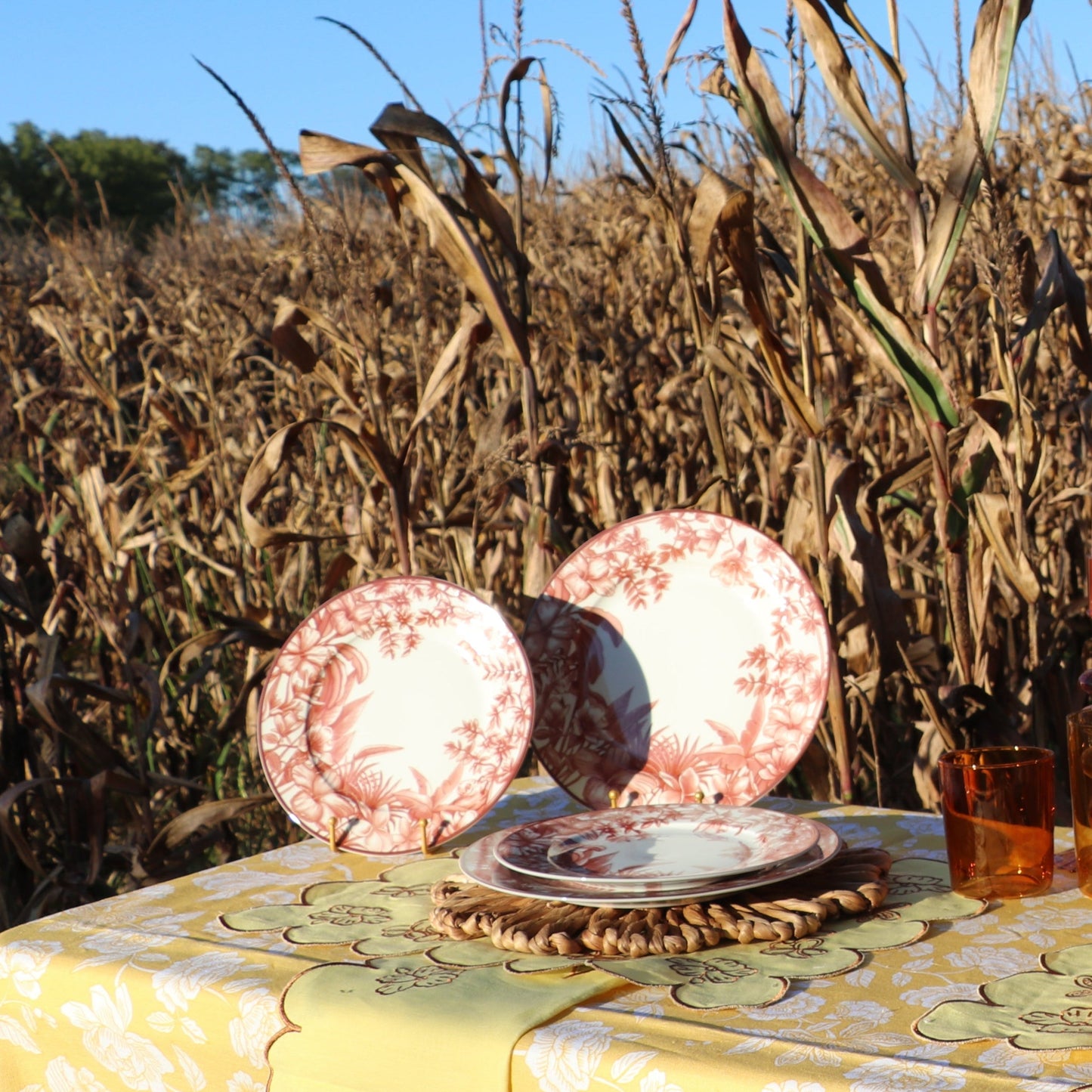 Sepia Estate Starter Plate - Set of 4 (+1 Bonus Plate)