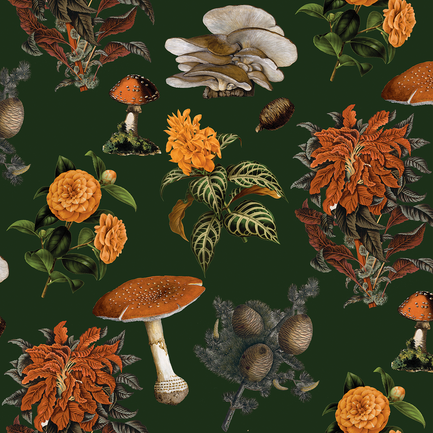 Mushrooms Wallpaper, green and orange