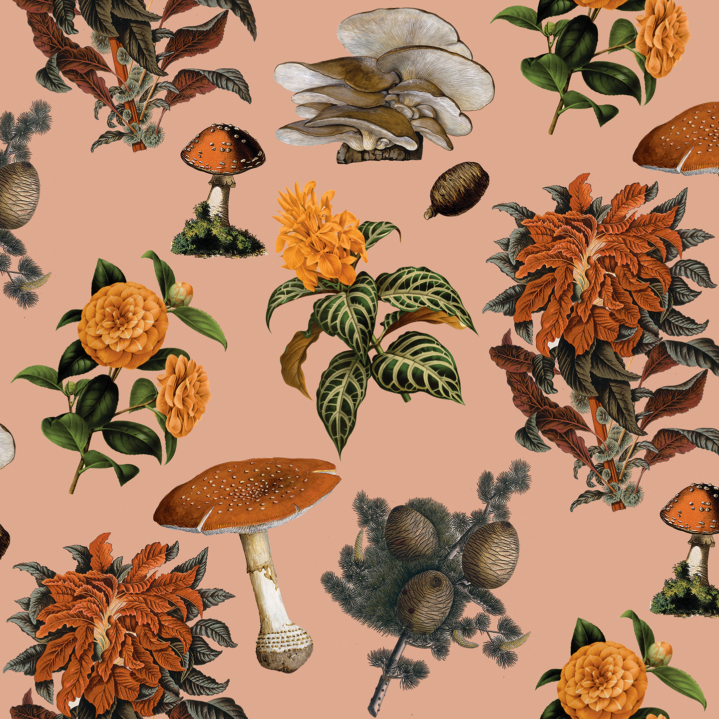Mushrooms Wallpaper, peach and marigold