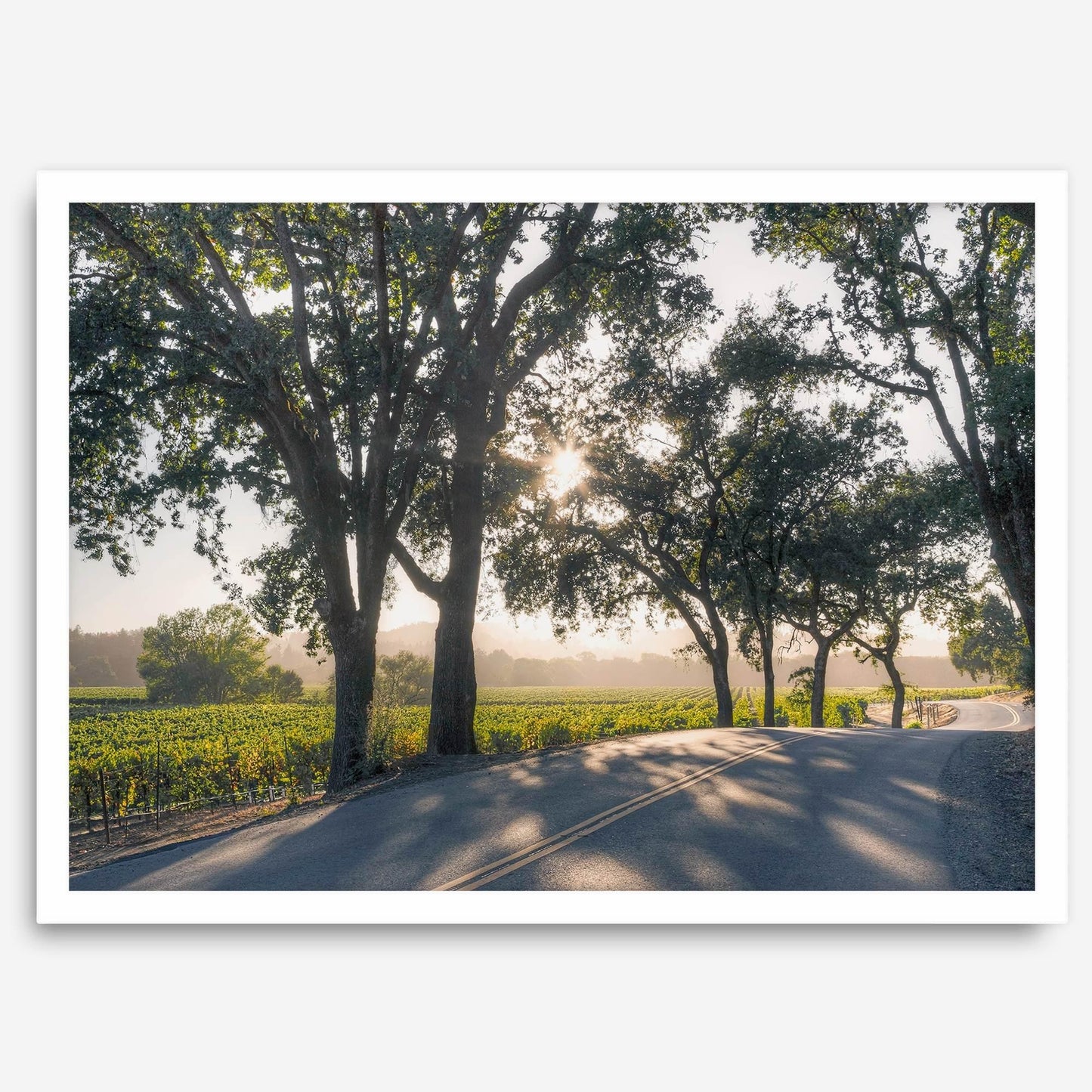 Sonoma Valley