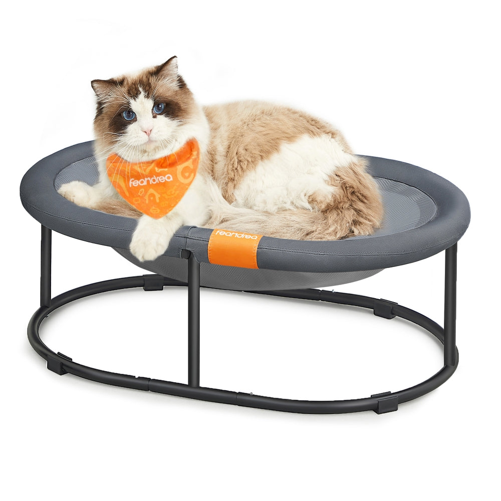 Elevated Oval Dog Bed for Small and Large Dogs Gray