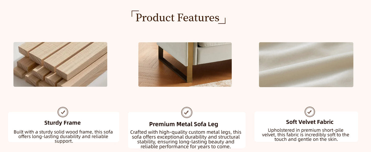 FX-P81-CW2 Modern Sofa