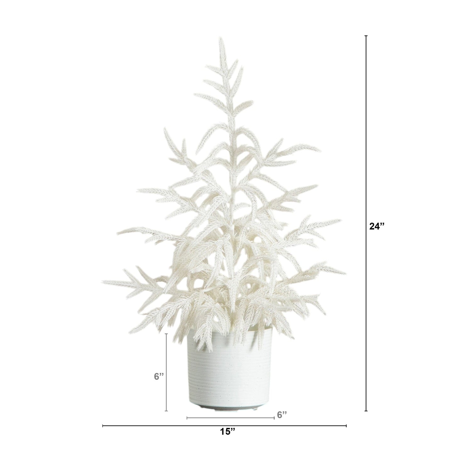 2' Artificial Real Touch White Norfolk Island Pine Christmas Tree with Natural Look