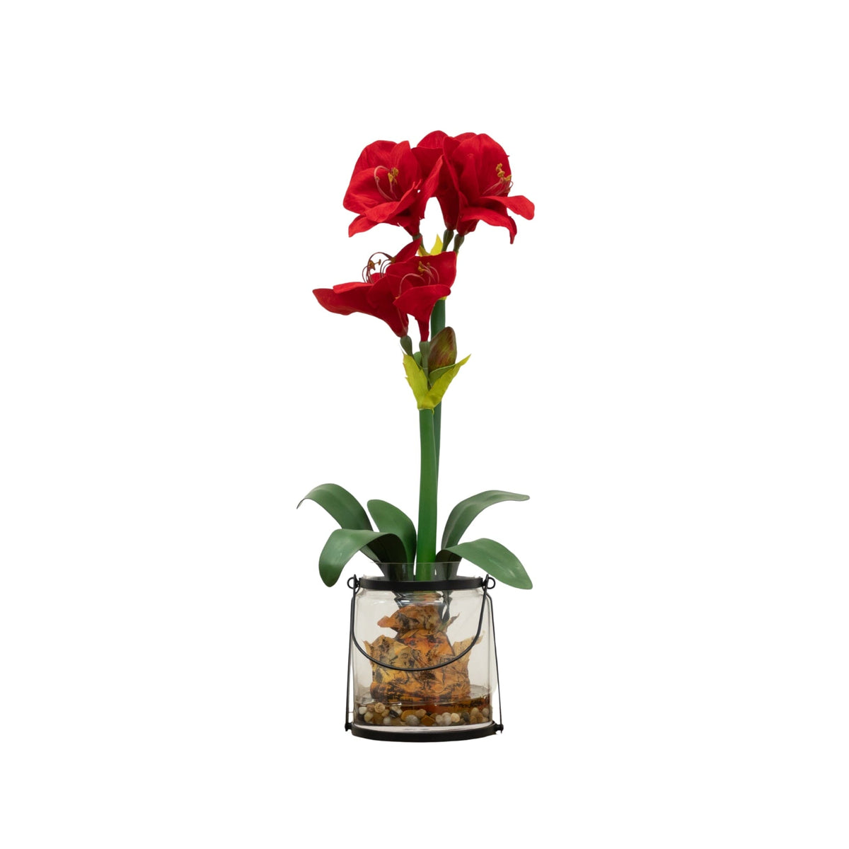 24” Amaryllis w/Vase