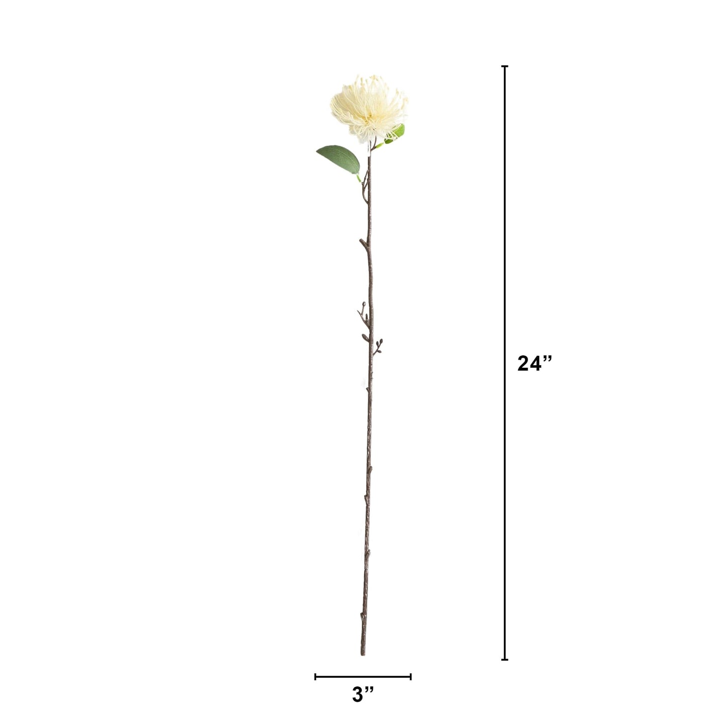 24" Artificial Pincushion Protea Flower Stem - Set of 4