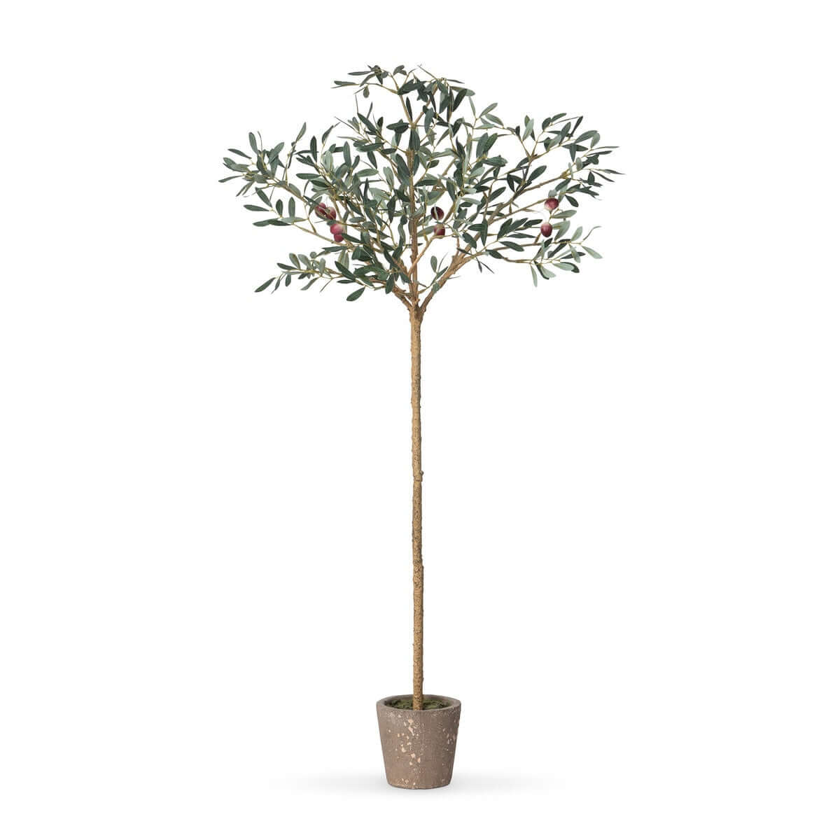 Faux Olive Tree Topiary in Vintage Pot