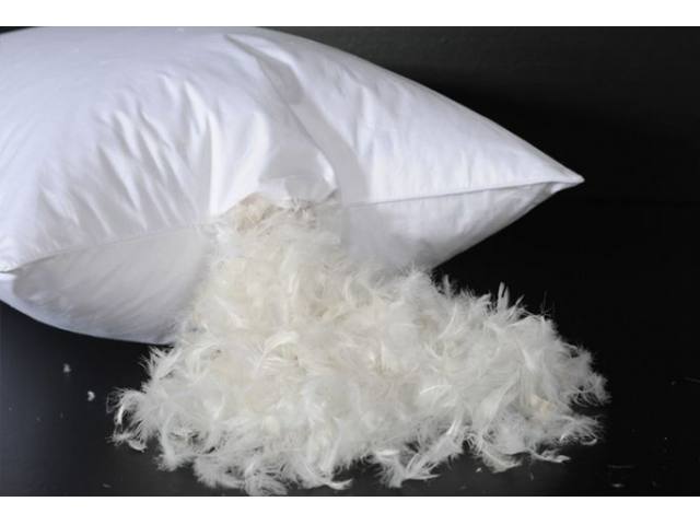 Feather Cotton Pillow Set