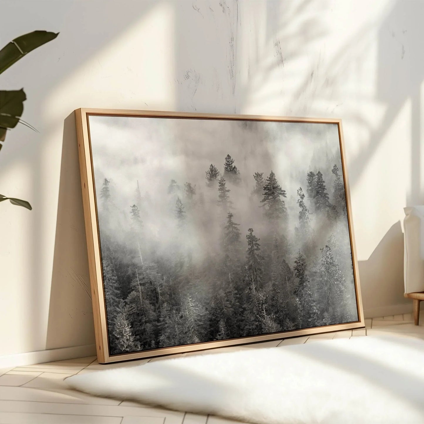 Foggy Treetops Canvas