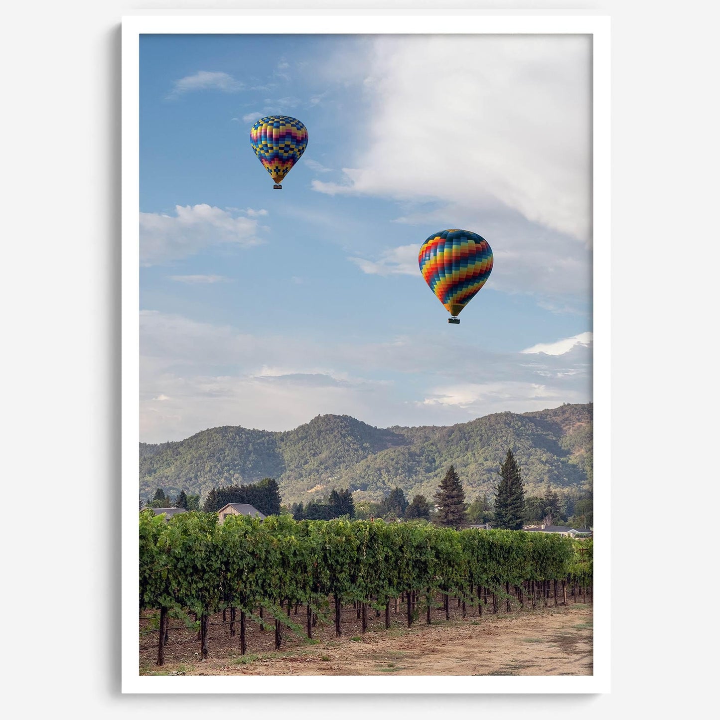 Wine Country Skies