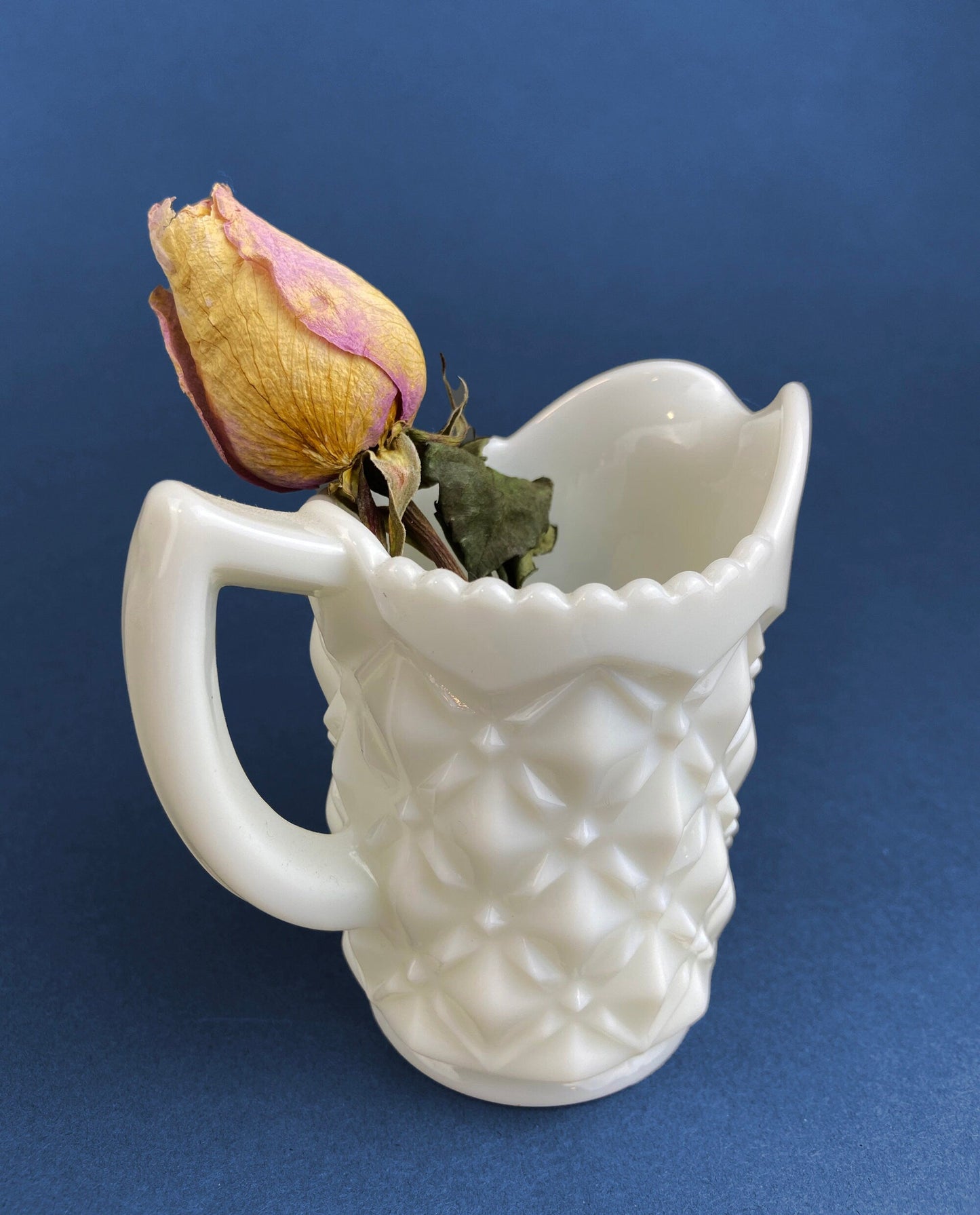 White ceramic pitcher with textured surface holding a dried flower against a blue background
