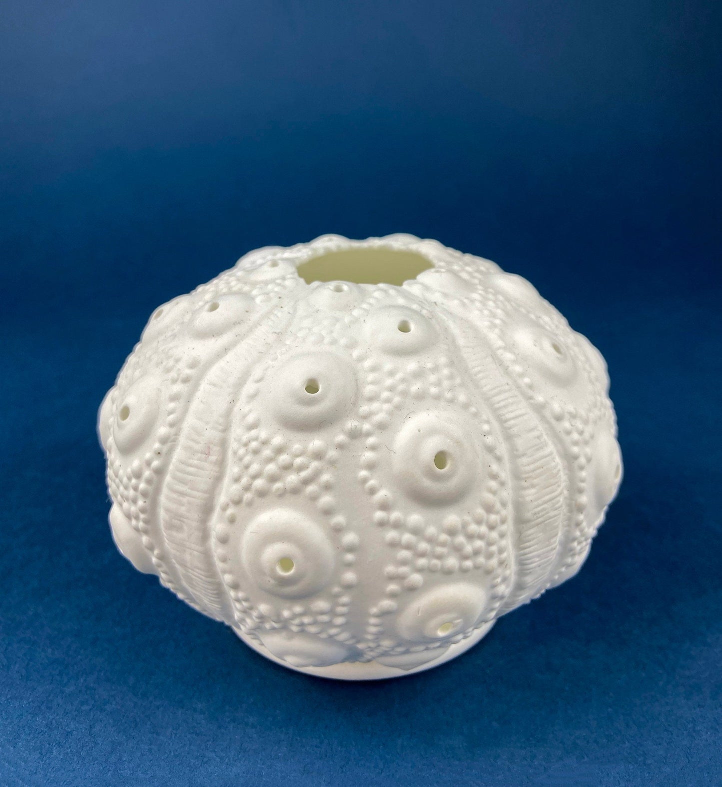 Belleek Cup and Saucer. Sea Shell Pattern Tea Set Made of Dainty Porcelain in Ireland. Antique Reg 0857.