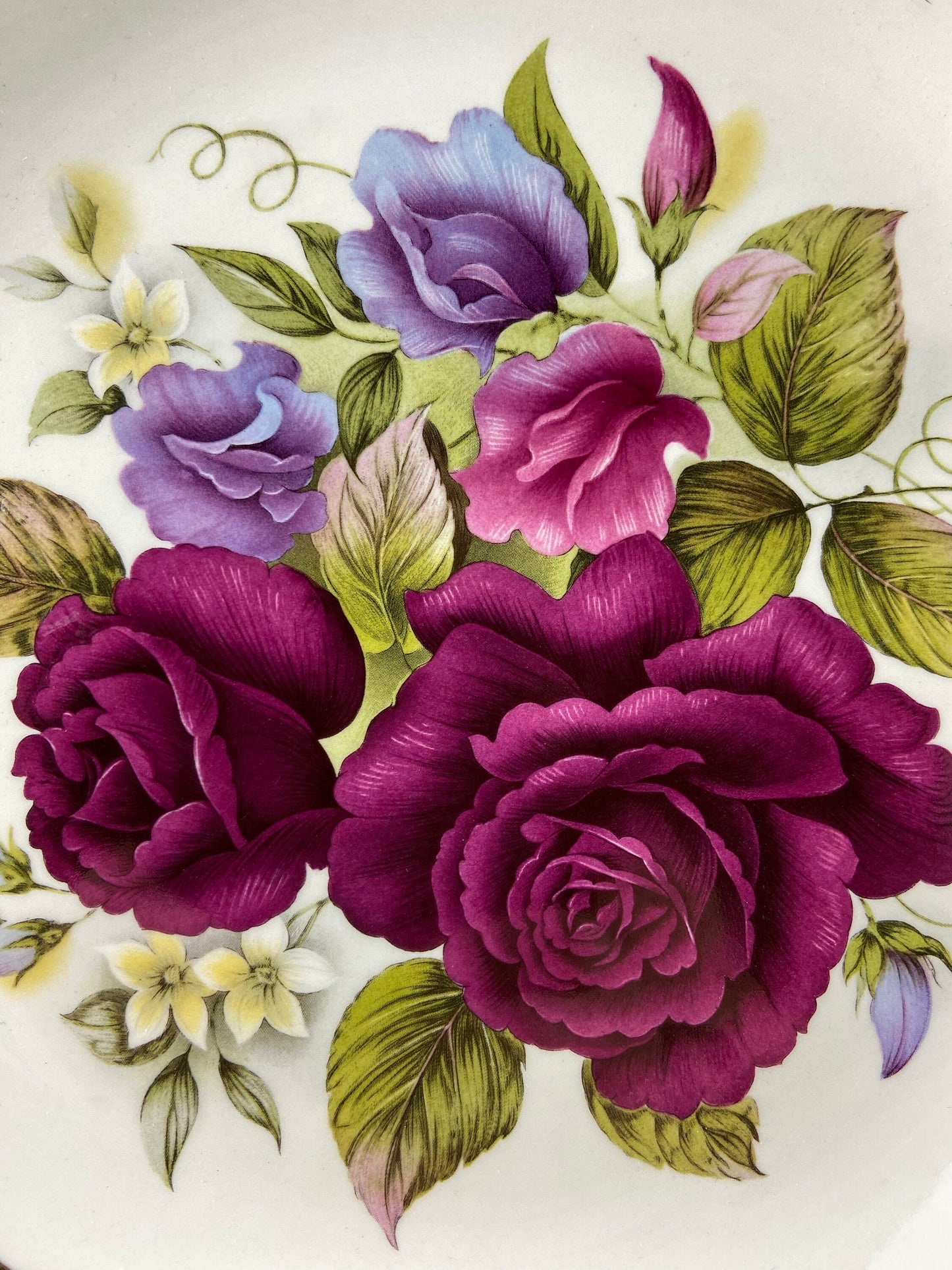 Colorful floral design with purple and pink roses on a white background