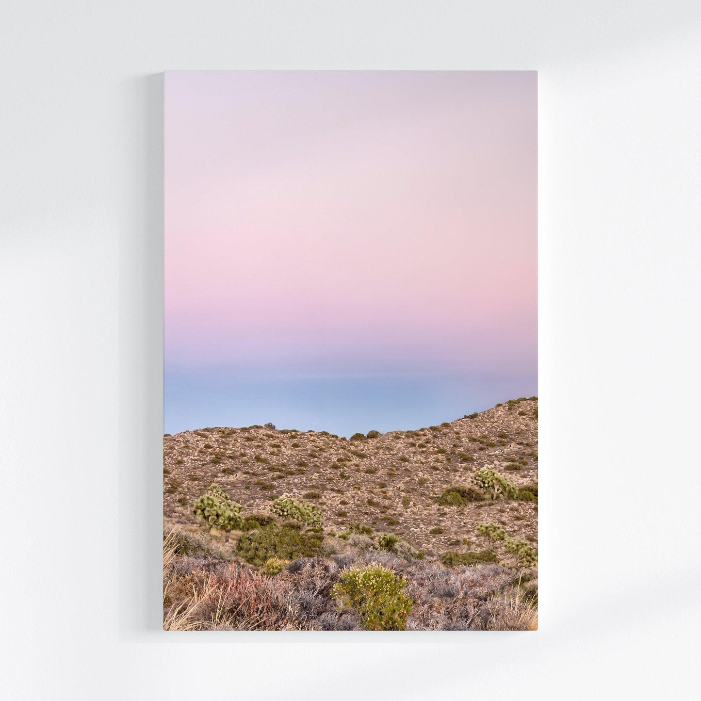 Joshua Tree Canvas Set