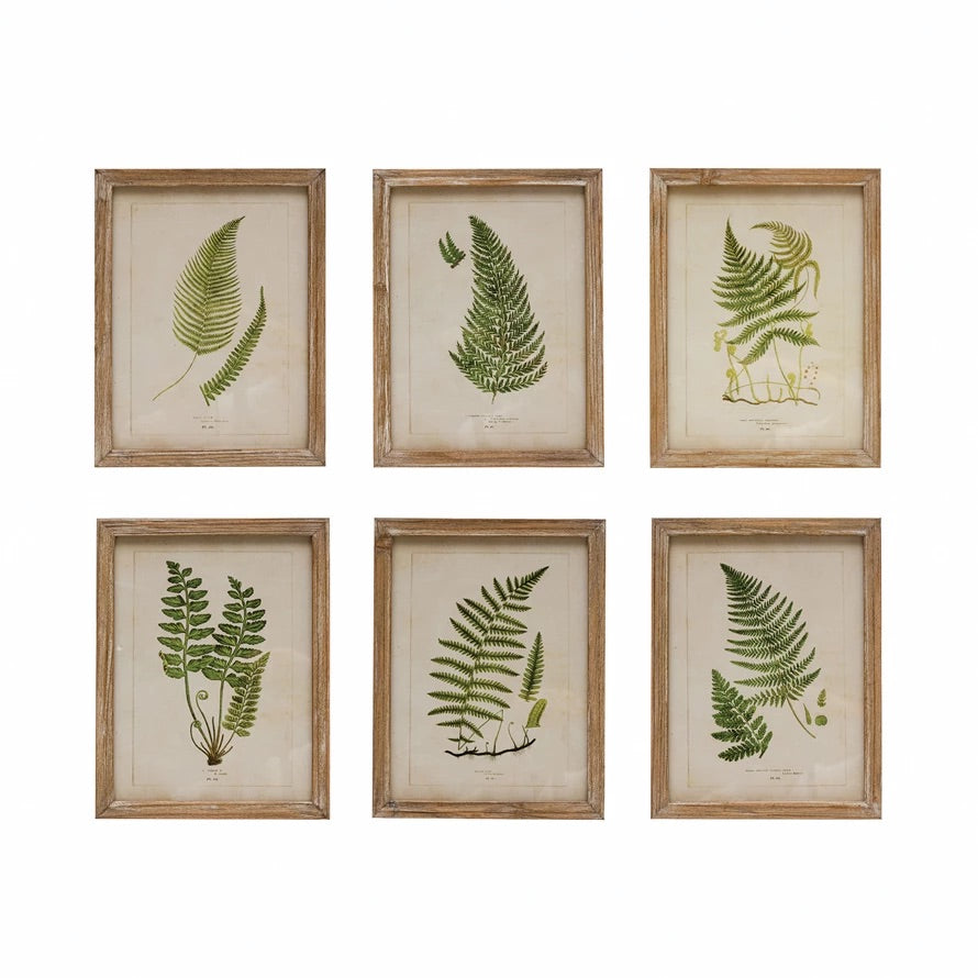 Wood Framed Glass Wall Décor with Fern Fronds Image, 6 Styles