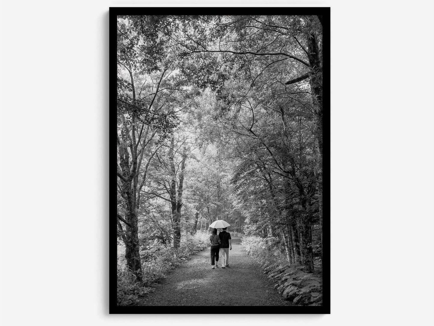 Umbrella Walk