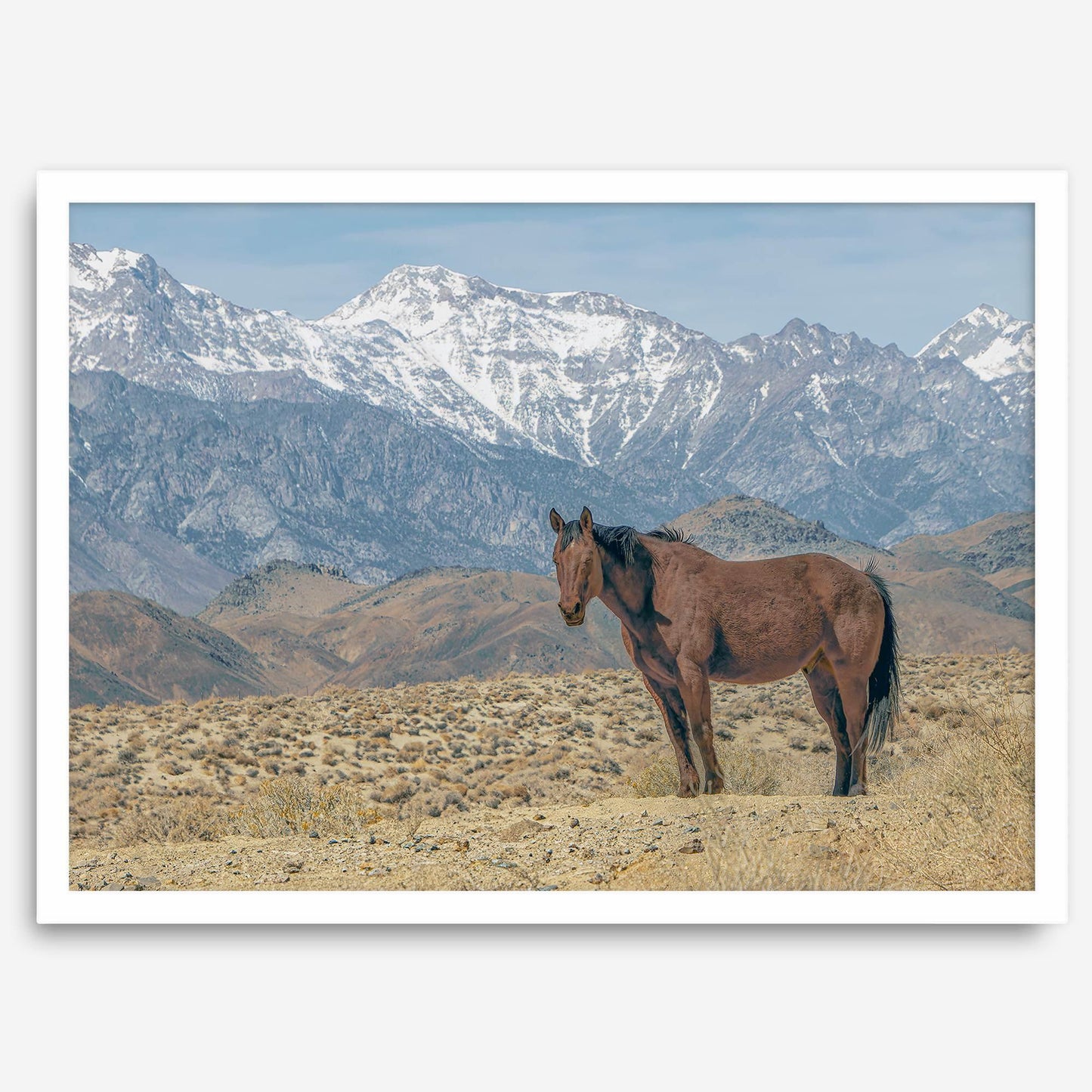 Wild West Grace