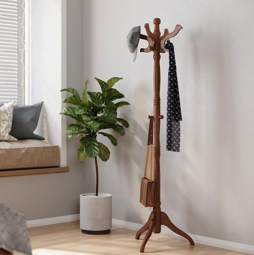 Traditional Foyer with a wooden coat rack and potted plant in a bright indoor setting.