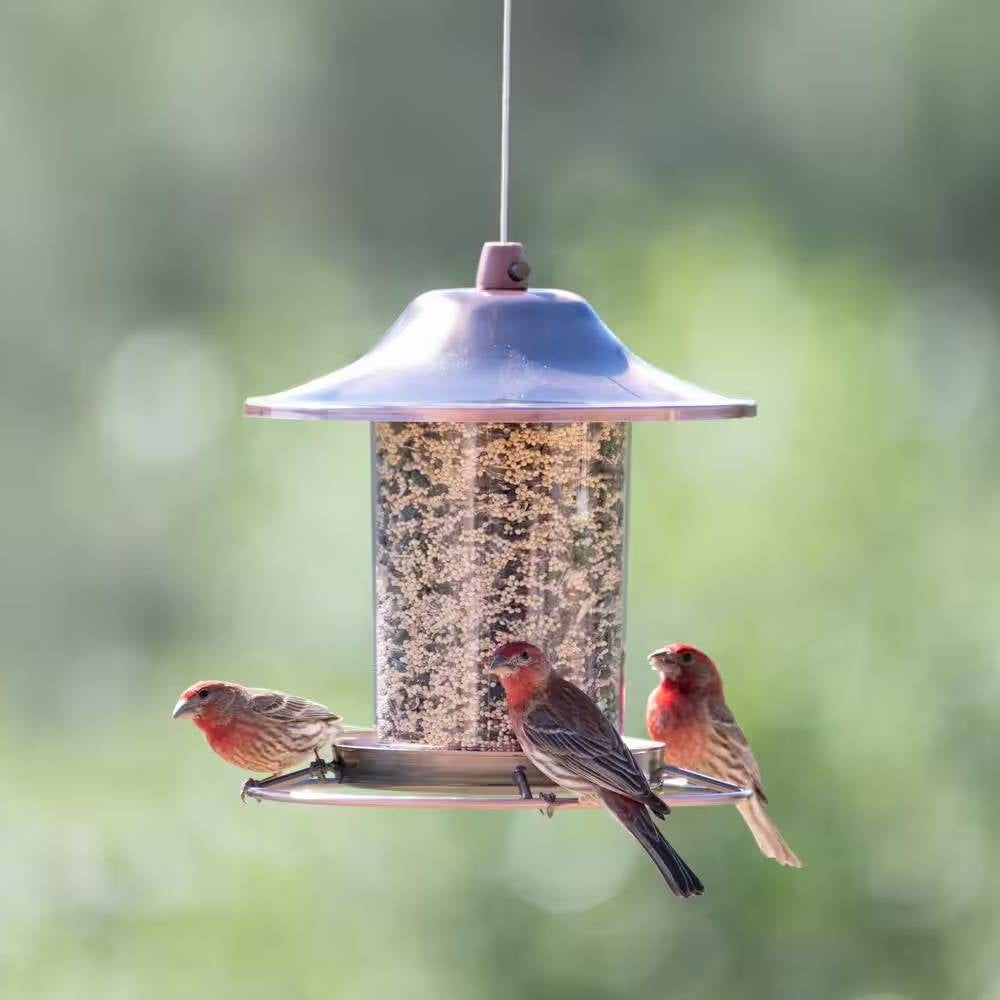 Bird Feeders