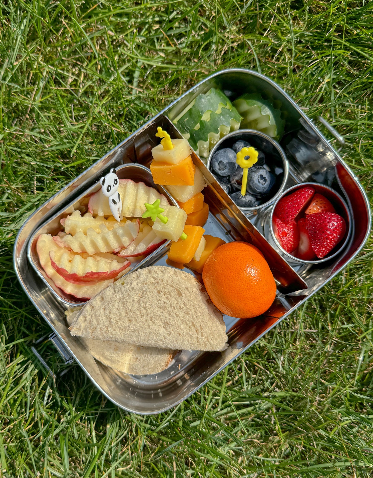 Lunch Boxes filled with fruits, sandwich, and snacks arranged in a metal container on grass.