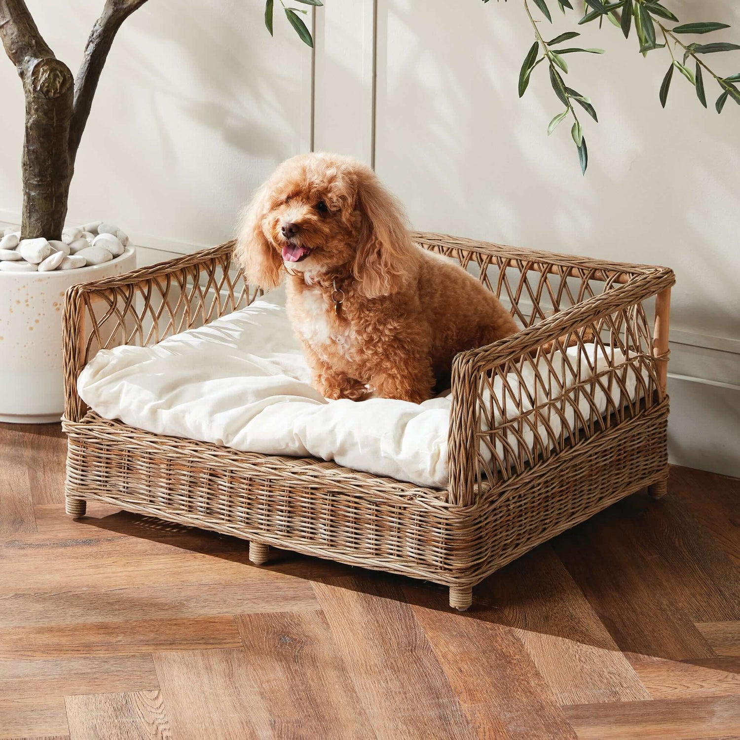 Pet Supplies: Cozy dog bed with a fluffy cushion, providing comfort for pets in a stylish interior setting.