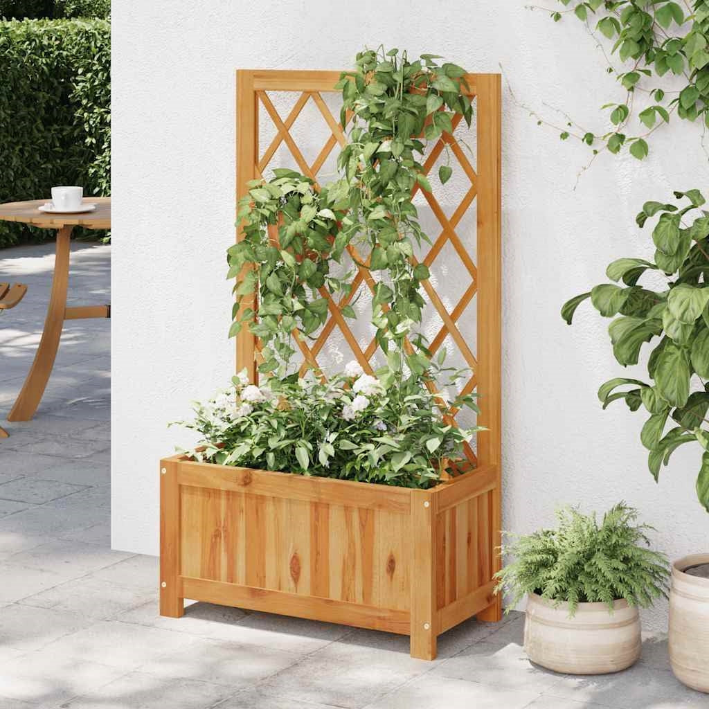 Planters, Garden Beds, and Trellises