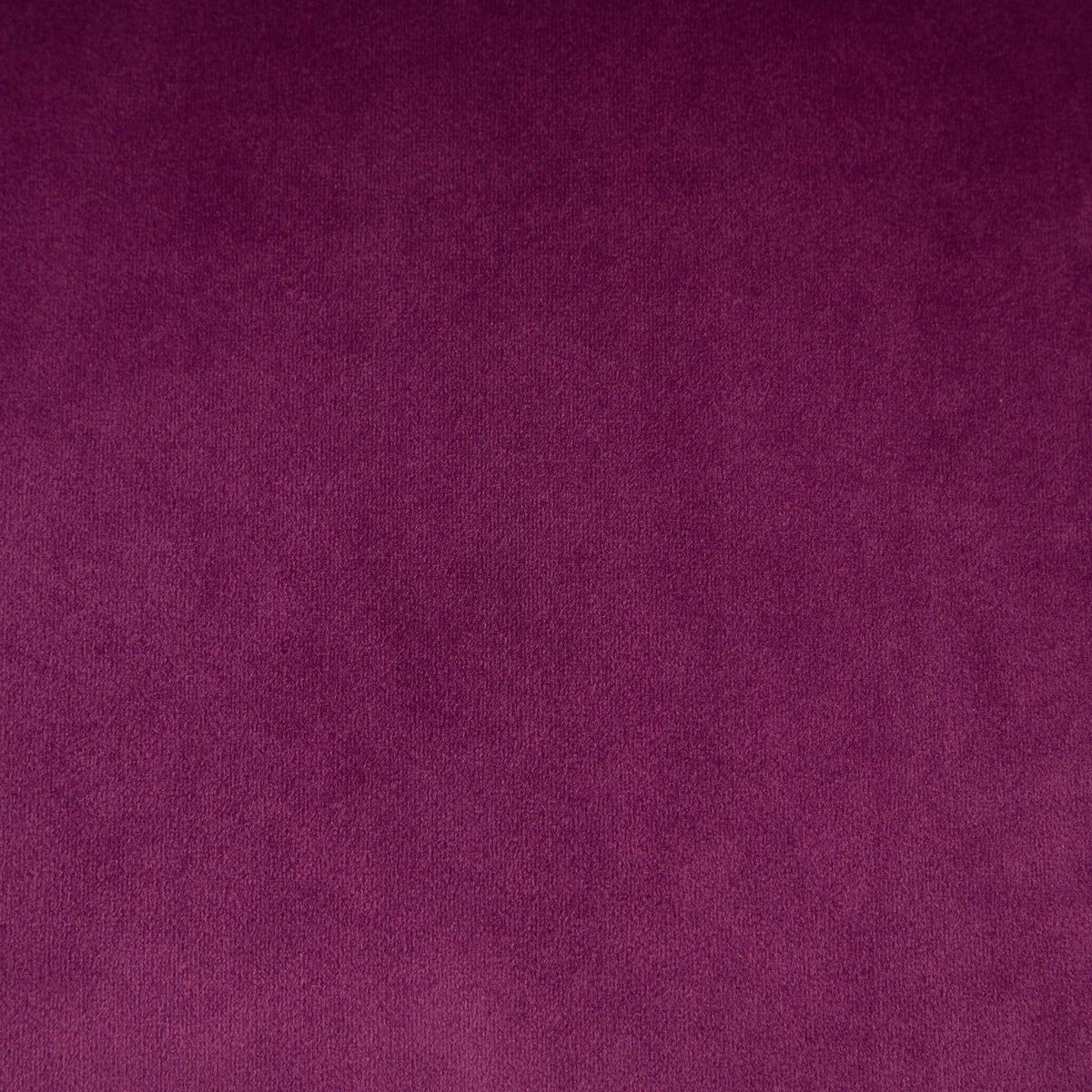 A&A Furniture Modern Velvet Upholstered Office Chair - Purple