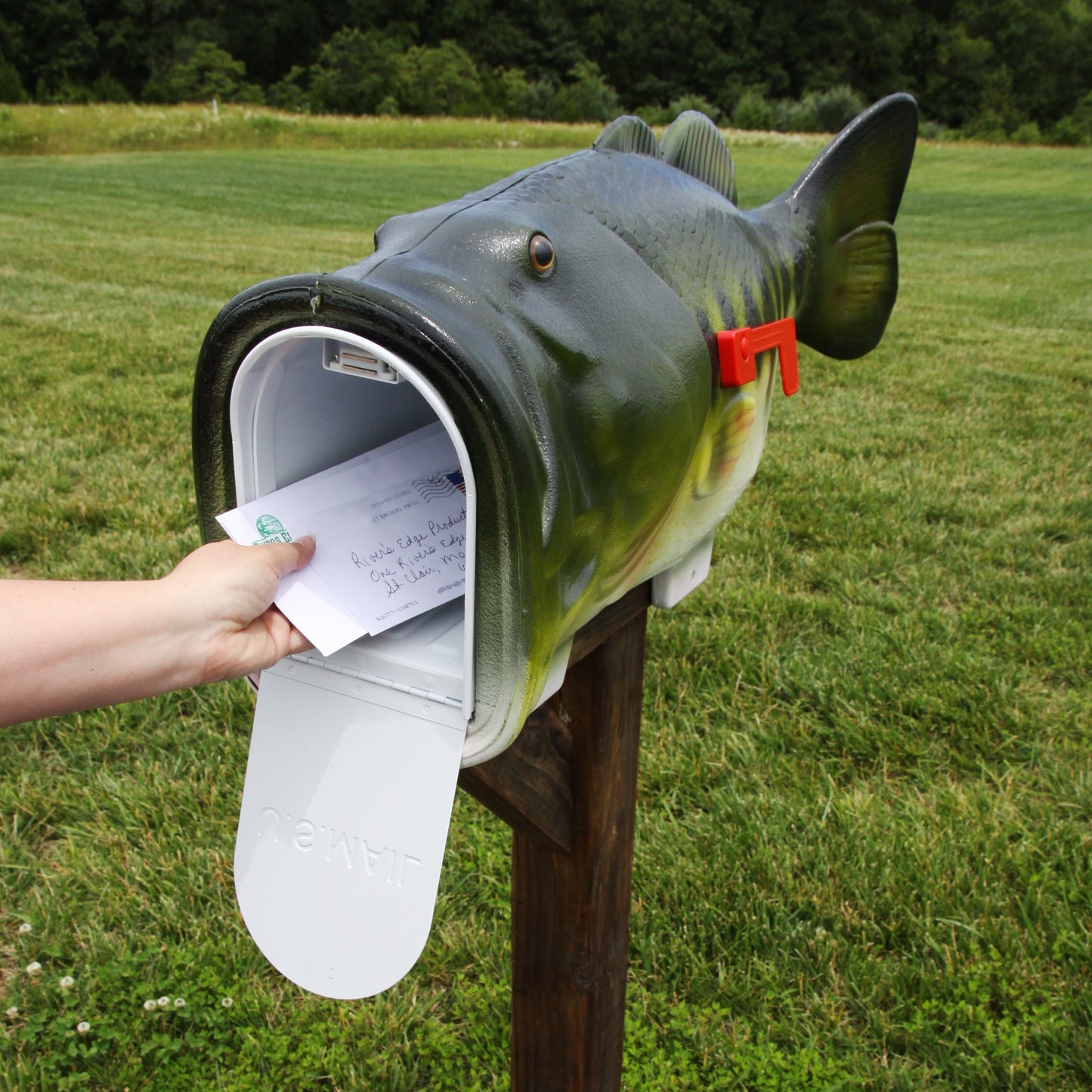 Mailbox-Bass V2